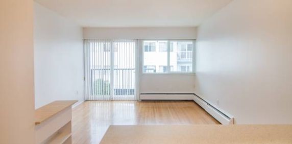 Large, Bright, Cat Friendly One Bedroom Apartment - Photo 2