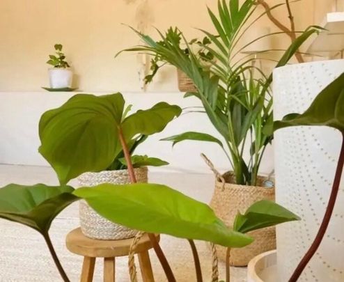 North Bondi - Photo 1