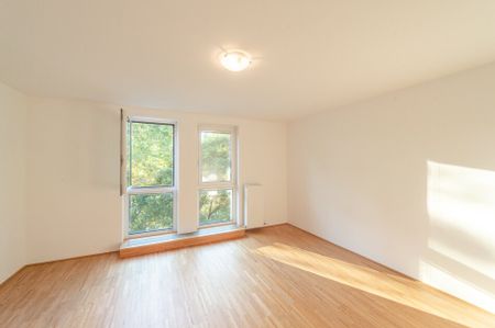 ++NEU++ Porzellangasse, Bestlage im Servitenviertel, 3-Zimmer + halboffene Küche! **GRÜNRUHELAGE** verfügbar ab 01.08.23 - Foto 2