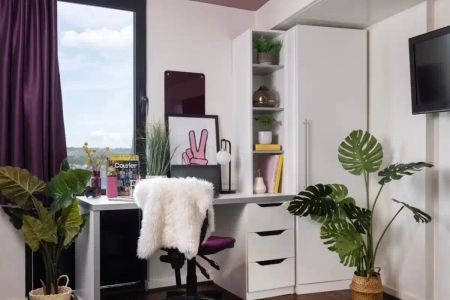 Large Standard Double Studio - Photo 3