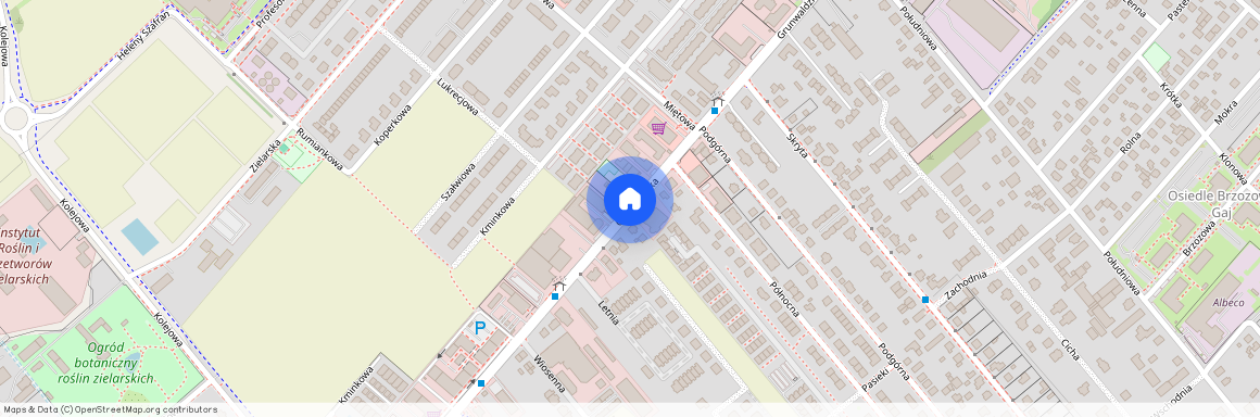 ul. Grunwaldzka, Plewiska, Komorniki, poznański, wielkopolskie