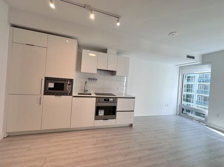 For Lease - 121 St Patrick Street Unit# 521, Toronto, Ontario - Photo 3