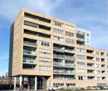 Appartement de 3 pièces Bernhardlaan, Monnickendam - À Louer - Photo 6