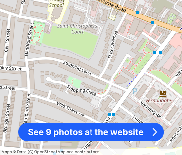 Stepping Lane Derby - Photo 1