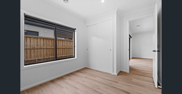 Spacious, Modern & Brand New - Photo 1