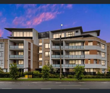 Large modern 1 bedroom + study for rent. - Photo 4