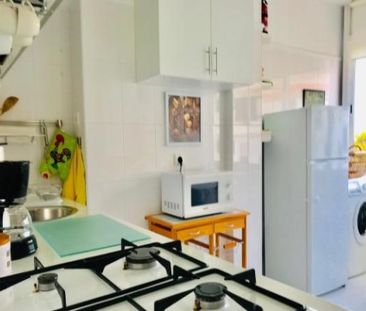 Apartamento T1 - Photo 4