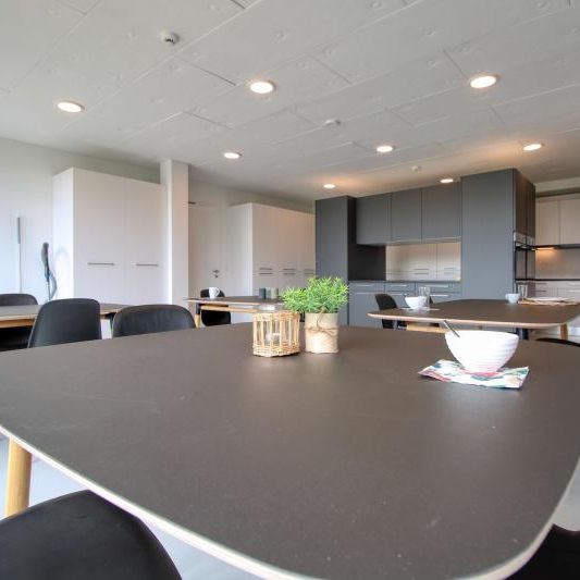 Lily #33 - Coliving at Lily: Modern Living near Lausanne, EPFL and UNIL - Foto 1