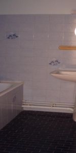 Location Appartement 1 pièce 28m² MACON 71000 - Photo 3