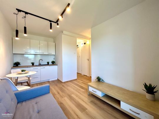 Grudziądz Mieszkanie na wynajem - Zdjęcie 1