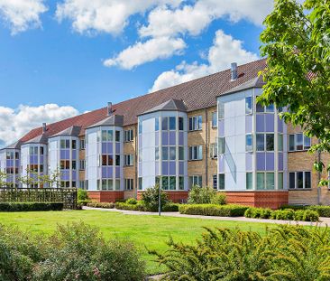 Afd. 4 Lindevang - Photo 2