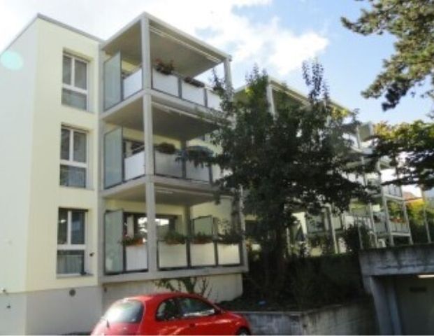 Appartement confortable de 3,5 pièces au rez-de-chaussée avec une disposition optimale des pièces - Foto 1