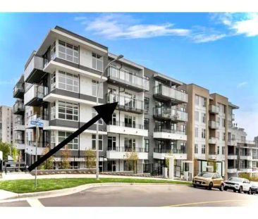 Modern 1 Bed + Den Condo | Capitol Building, New Westminster | 1012... - Photo 1