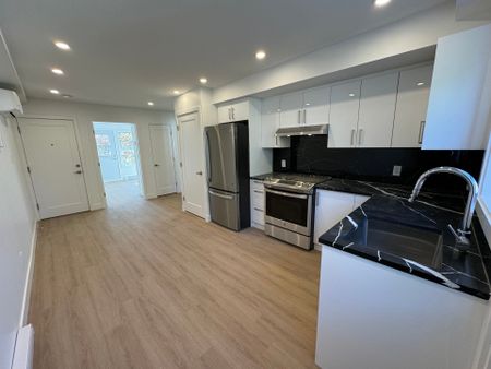 Appartement à louer, Montréal (Ville-Marie) - Photo 3