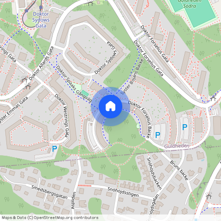 Guldheden, Göteborg, Västra Götaland, Doktor Forselius Backe 52