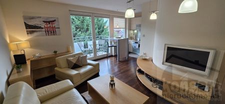 Apartament przy Jasnych Błoniach - Photo 2
