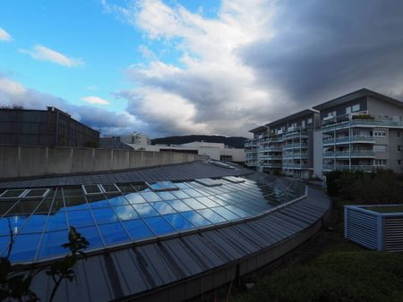 Location Appartement 3 pièces 68m² ANNECY 74000 - Photo 4