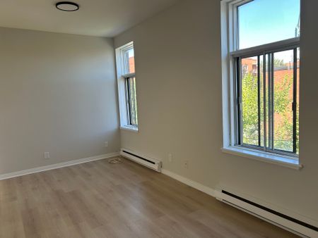 Appartement à Montréal (Rosemont/La Petite-Patrie) - Photo 3