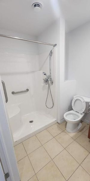 1 CH - 1 SDB - Montréal - $1,195 /mo - Photo 1