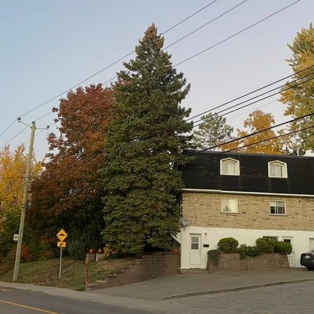 4 1/2 Boulevard Gouin, est Montréal - Photo 3