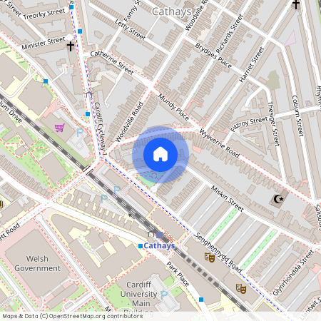Miskin Street, CF24 4AS, Cathays