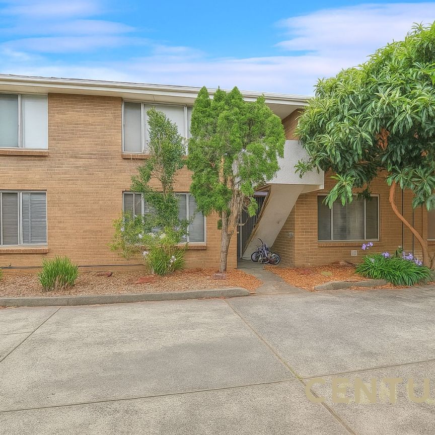 Comfortable Lower-Level 2-Bedroom Apartment in a Central Location - Photo 1