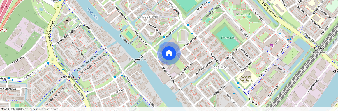 Hoge Mors, 2332 RK, Turkooislaan, Leiden