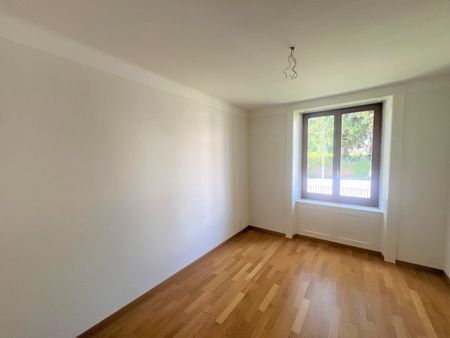 Jaluse 13 – 4 pièces rénové au rez-de-chaussée - Photo 5