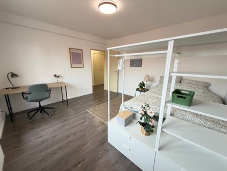 Magnifique 1 pièces 31m² Quartier Vosges/Contades - Photo 3