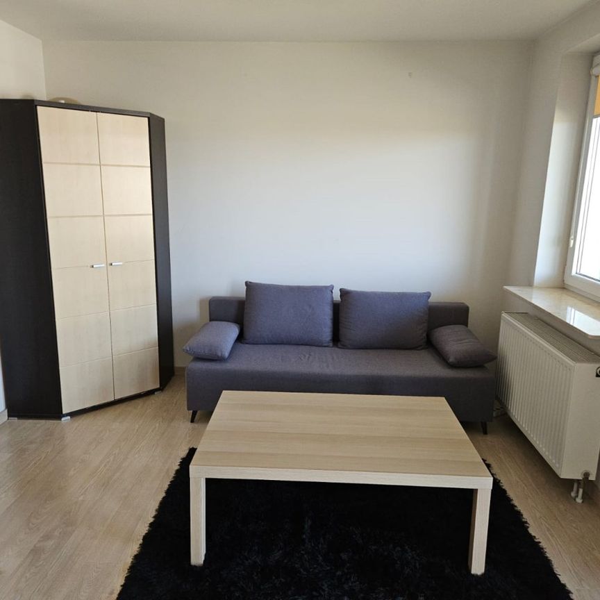 Lublin, Sławin, Botanik - Zdjęcie 1