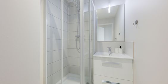 SARRAZIN Roommate 4 Bedrooms at Lyon 8e - Photo 3