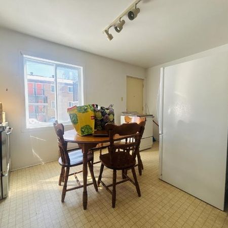 Appartement 4 ½ à louer Lévis juillet 2026 - Photo 3