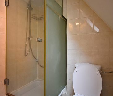 Appartement 1-slaapkamer te huur in centrum Halle - Photo 3