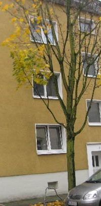 Aachener Straße 5, 45145 Essen OT Frohnhausen - Photo 2