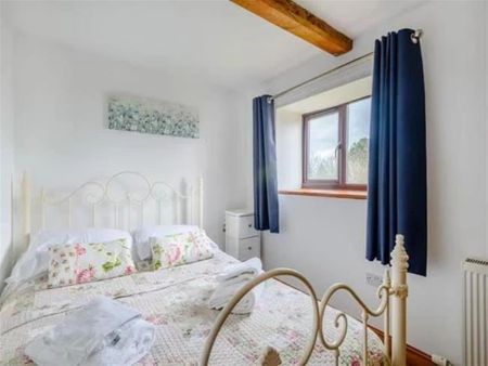 Newland - Photo 4