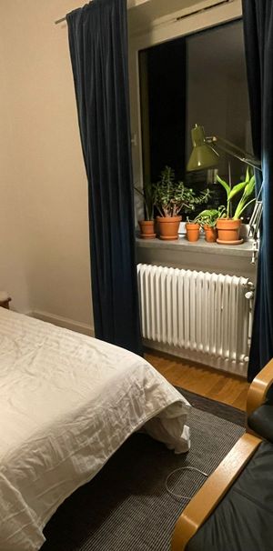 Möblerat rum mot innergård uthyres i 2,5-rummare vid Nobel i Malmö - Photo 1