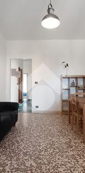 Trilocale in affitto - Photo 1