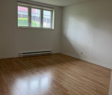 4 1/2 dans triplex Ste-Catherine Jacques Cartier - Photo 1
