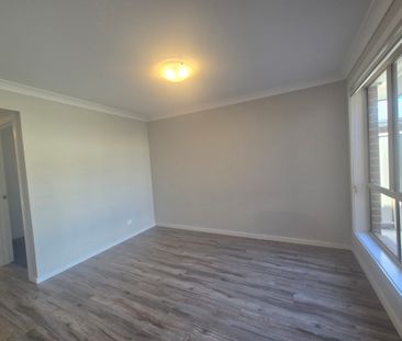 Beautiful Basil - Photo 5