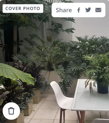 Varsity Lakes - Photo 4