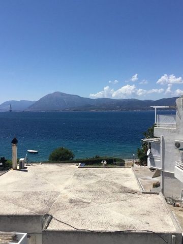 Διαμέρισμα για ενοικίαση Άγιος Βασίλειος (Ρίο) - Φωτογραφία 2