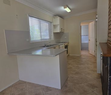 364 Eden Street, Lavington NSW 2641 - House For Rent | Domain - Photo 6