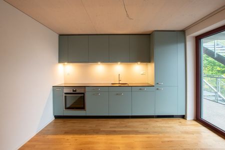 La vie moderne dans le Stadtsägi - Photo 4