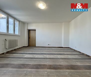 Pronájem bytu 1+1, 45 m - Fotografie 4