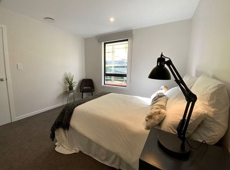 New Townhouse in Aro Valley - Photo 5