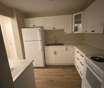 12 Riverside Drive, ON, Welland - Photo 5