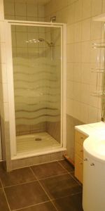 Location Appartement 2 pièces Meublé 49m² LE BOURGET DU LAC 73370 - Photo 3