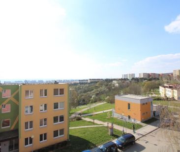Pronájem bytu 1+kk 33 m2 - Fotografie 5