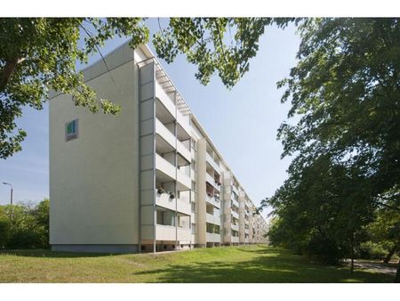 Schieloer Straße 8 - Harzer-Karree - Foto 4