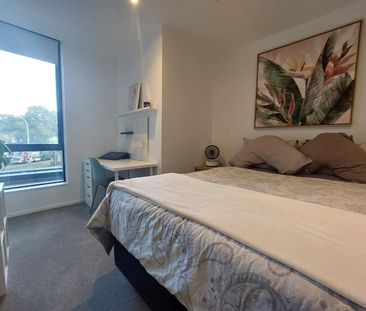 1 Bedroom mordern apartment - Handbag dog or Cat is welcome! - Photo 4